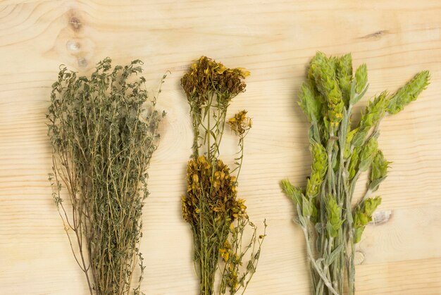 Flat lay of natural medicinal herbs