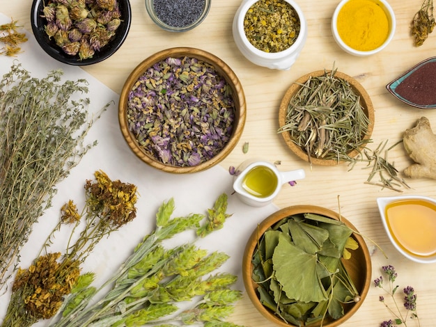 Flat lay of natural medicinal herbs