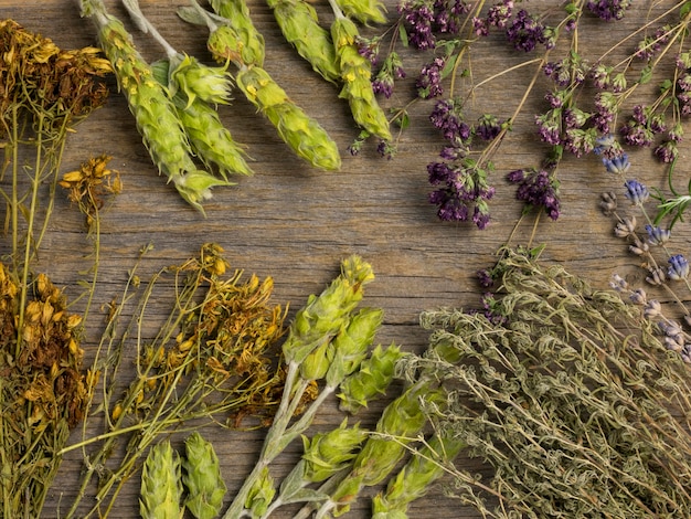 Foto gratuita piatto di laici medicinali naturali spezie ed erbe aromatiche