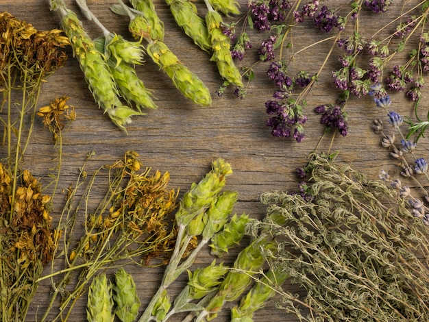 Flat lay of natural medicinal spices and herbs