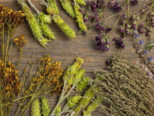 Flat lay of natural medicinal spices and herbs