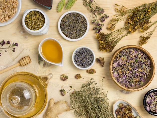 Foto gratuita piatto di laici medicinali naturali spezie ed erbe aromatiche