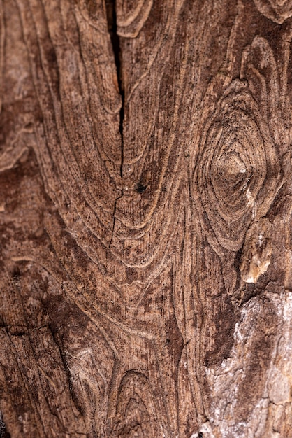 Free photo flat lay natural wooden texture