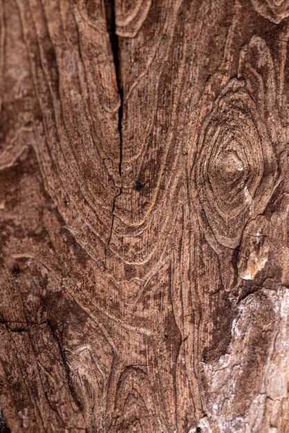 Flat lay natural wooden texture