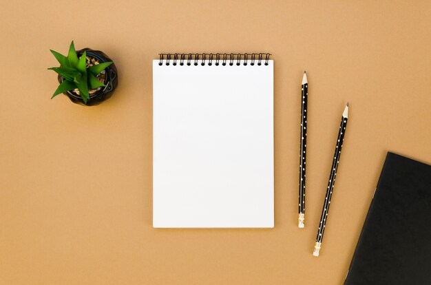 Flat lay of notebook on desk with succulent