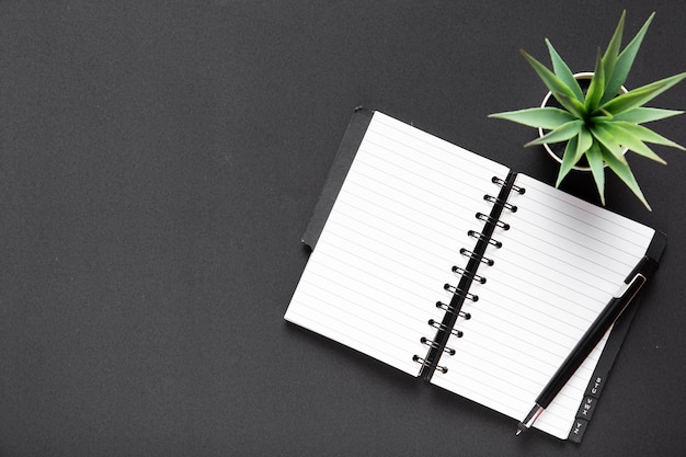 Flat lay of notebook and plant with copy space