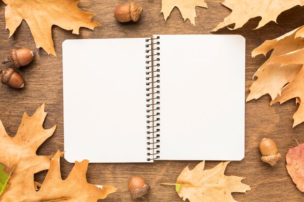 Flat lay of notebook with autumn leaves and acorns