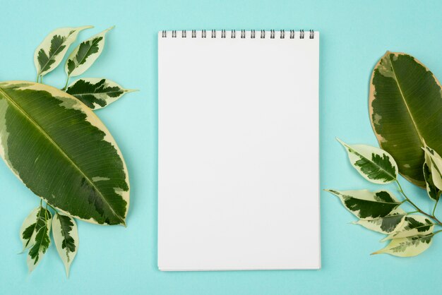 Flat lay of notebook with beautiful plant leaves