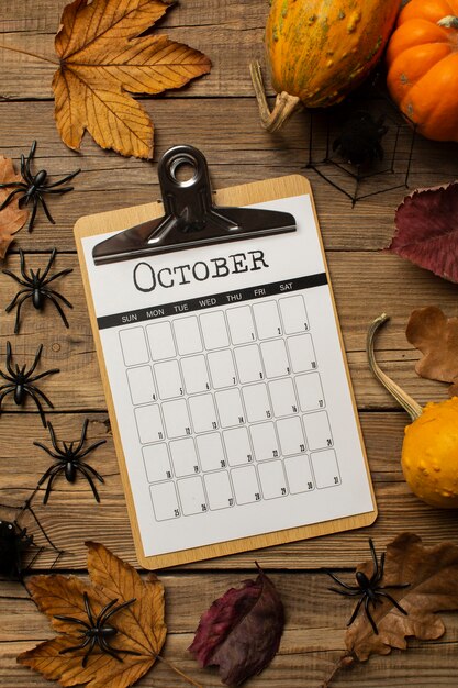 Flat lay october calendar and spiders