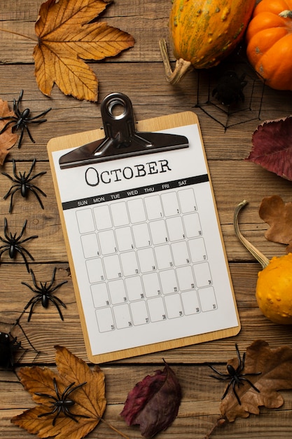 フラットレイ10月のカレンダーとスパイダー