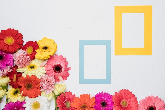 Бесплатное фото Плоская планировка рамки с цветочной концепцией