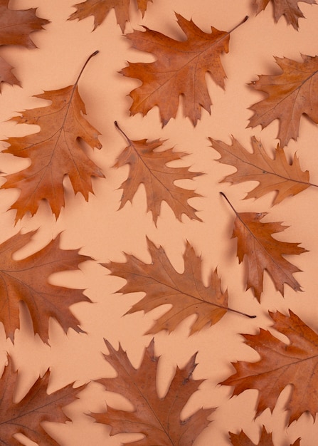 Бесплатное фото Плоская планировка из однотонных листьев с копией пространства