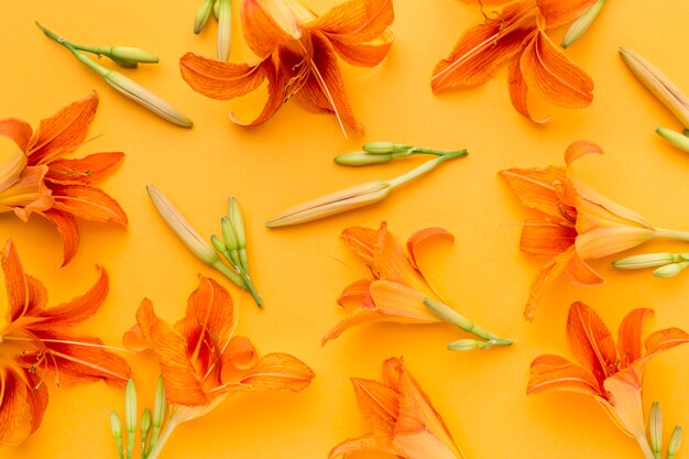 Flat lay orange lilies arrangement