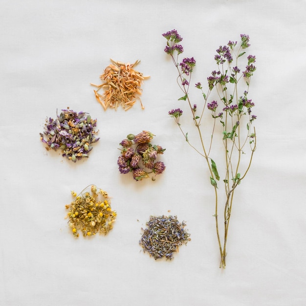 Flat lay of organic medicines