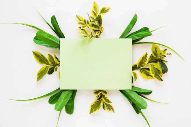 Free photo flat lay of paper card template with leaves