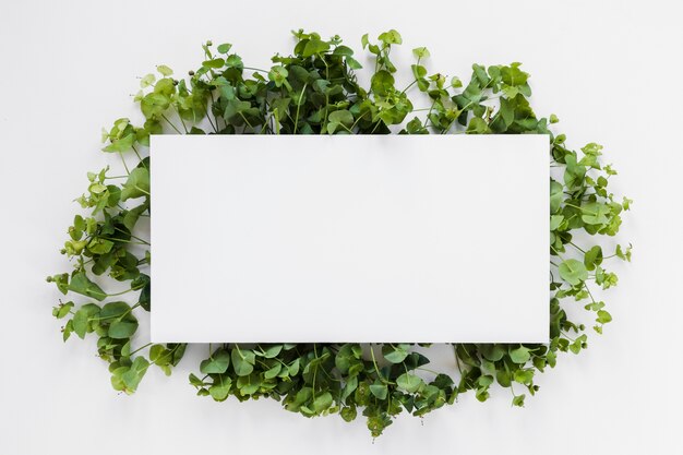 Flat lay of paper card template with leaves