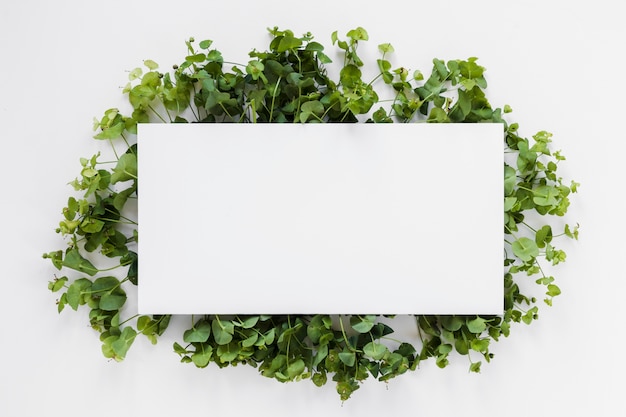 Flat lay of paper card template with leaves