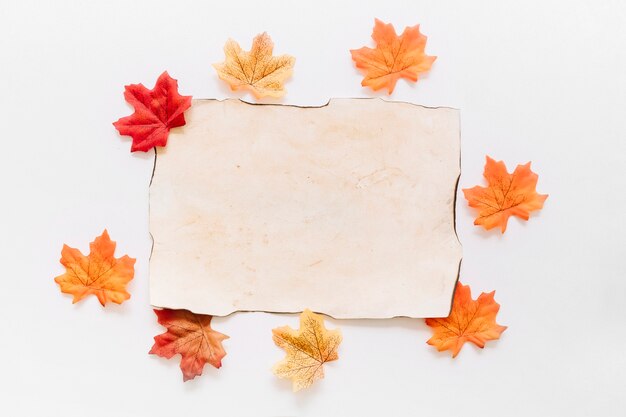 Flat lay of paper sheet with autumn leaves around