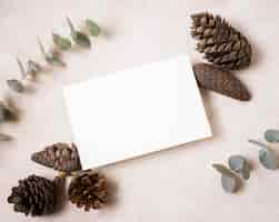 Free photo flat lay of paper with pine cones and plant for autumn