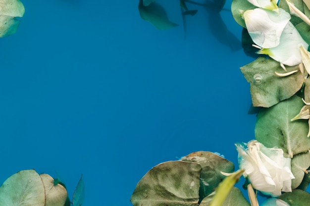 Flat lay petals and leaves in water with copy space