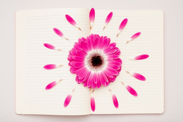 Free photo flat lay pink daisy on notebook