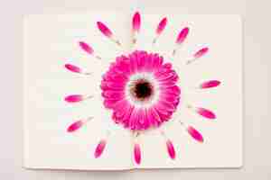 Free photo flat lay pink daisy on notebook