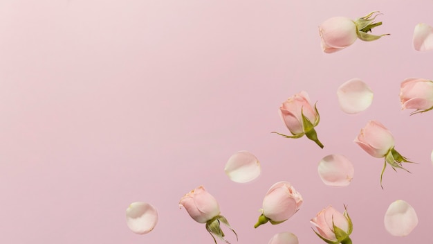 Flat lay of pink spring roses with copy space