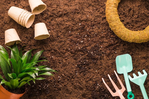 Flat lay of plant and gardening tools with copyspace