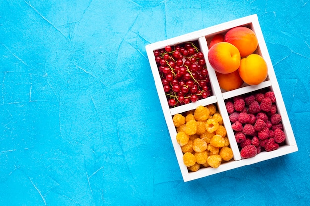 Flat-lay plate of fresh berries and fruits with copyspace