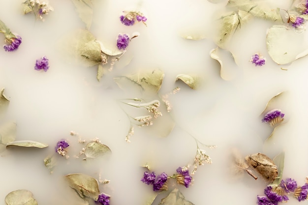 Free photo flat lay purple flowers in white water