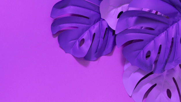 flat lay purple leaves with purple background