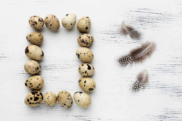 Flat lay quail eggs arrangement