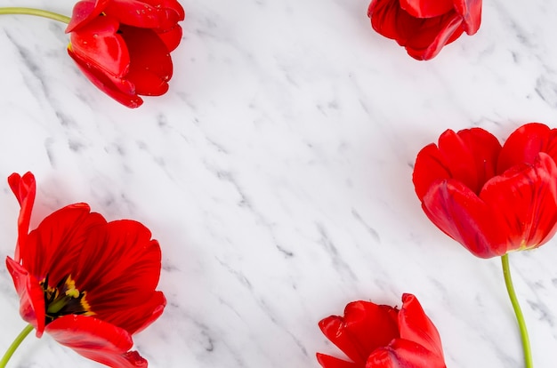 Flat lay of red flowers