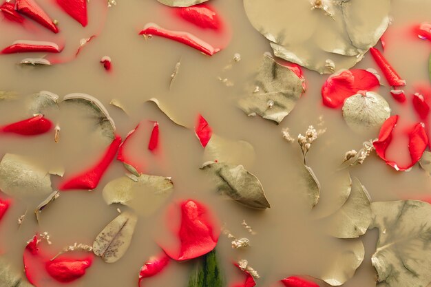 Flat lay red petals in brown colored water