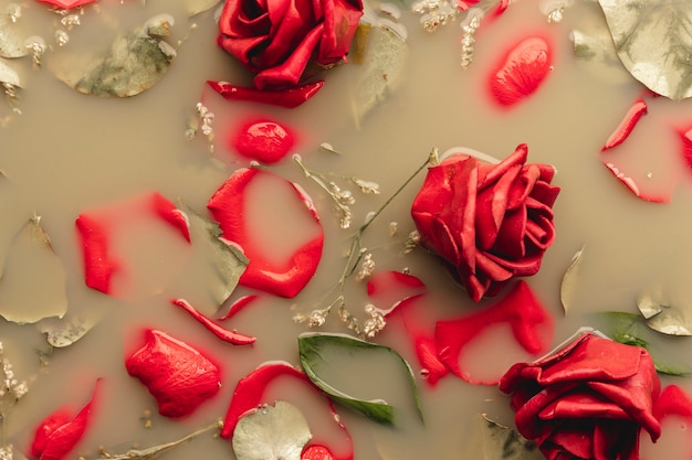 Flat lay red roses and petals in brown water