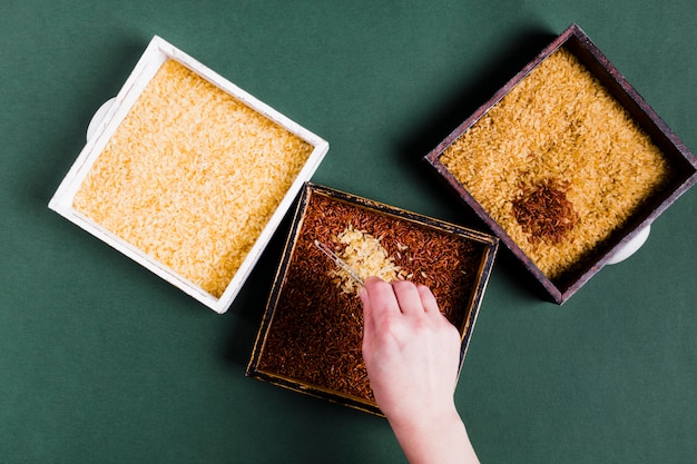 Free photo flat lay rice composition