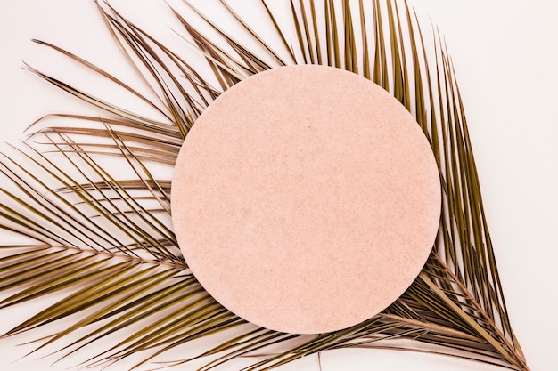 Free photo flat lay of round paper on leaves