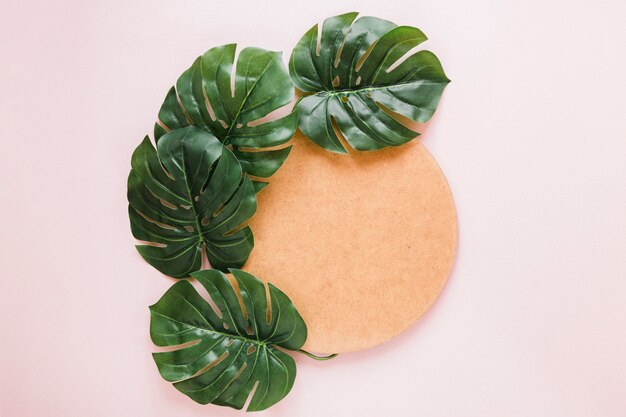 Flat lay of round paper on leaves