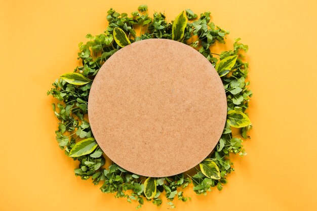 Flat lay of round paper on leaves