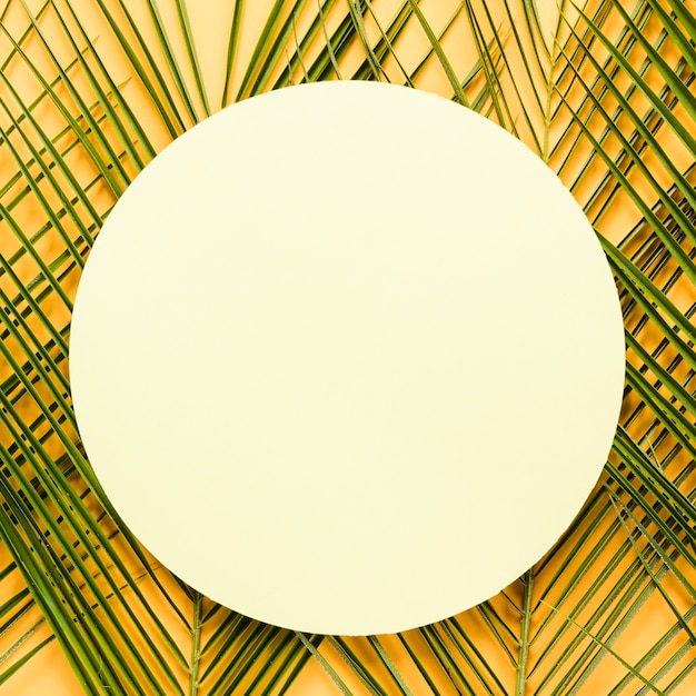 Free photo flat lay of round paper on leaves