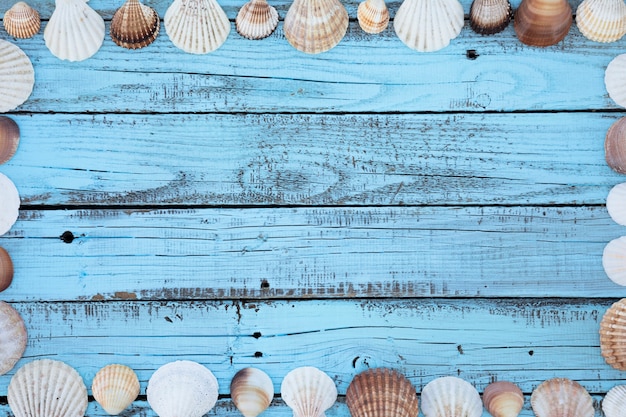 Free photo flat lay round seashells frame on wooden board