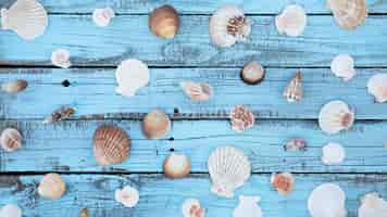 Free photo flat lay seashells on wooden board