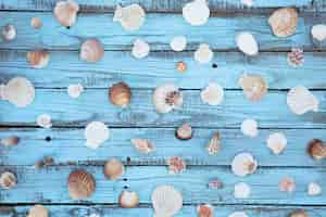 Free photo flat lay seashells on wooden board