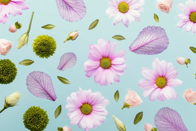 Flat lay of spring daisies and leaves