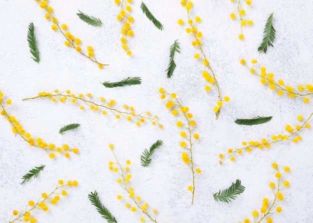 Flat lay spring flowers branches