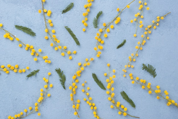 フラット横たわっていた春の花の枝