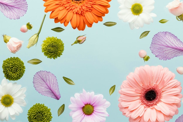 Flat lay of spring gerbera flowers with daisies and leaves