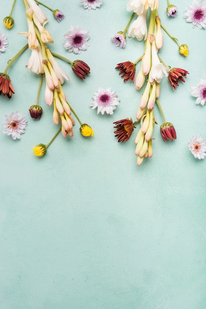 Free photo flat lay of spring orchids and daisies with copy space