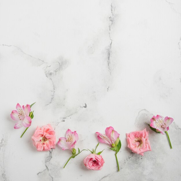 Flat lay of spring roses and orchids with marble background and copy space