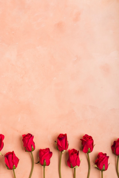 Free photo flat lay of spring roses with copy space